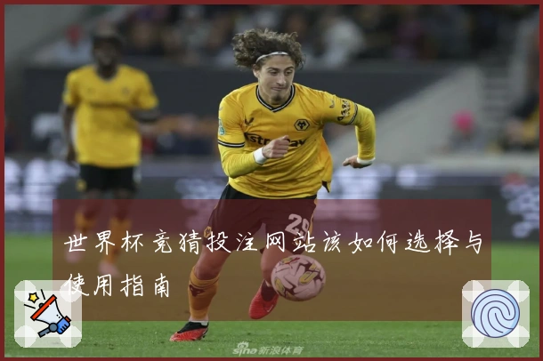 世界杯竞猜投注网站该如何选择与使用指南