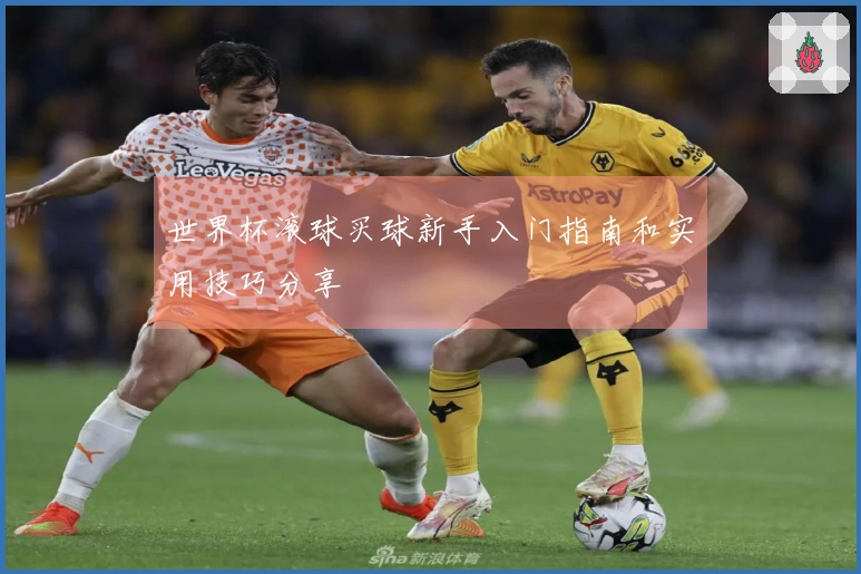 世界杯滚球买球新手入门指南和实用技巧分享