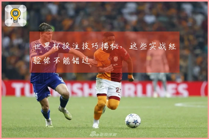 世界杯投注技巧揭秘，这些实战经验你不能错过