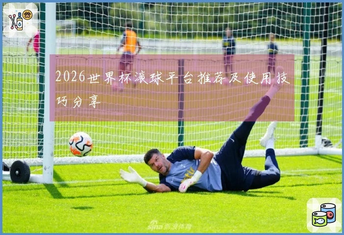 2026世界杯滚球平台推荐及使用技巧分享