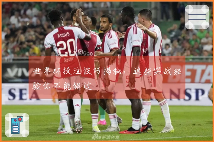 世界杯投注技巧揭秘，这些实战经验你不能错过