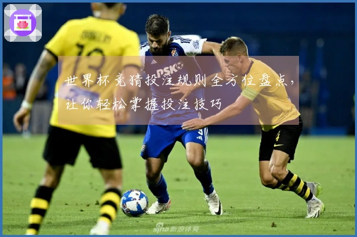 世界杯竞猜投注规则全方位盘点，让你轻松掌握投注技巧