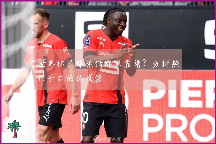 世界杯买球竞猜哪家靠谱？分析热门平台的优劣势