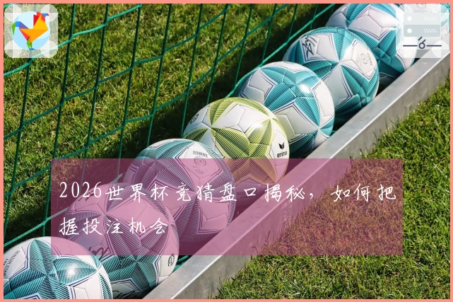 2026世界杯竞猜盘口揭秘，如何把握投注机会