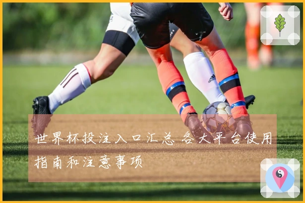 世界杯投注入口汇总 各大平台使用指南和注意事项
