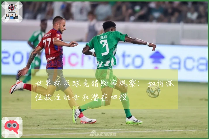 世界杯买球竞猜赔率观察：如何抓住投注机会和潜在回报