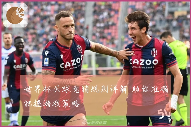 世界杯买球竞猜规则详解 助你准确把握游戏策略