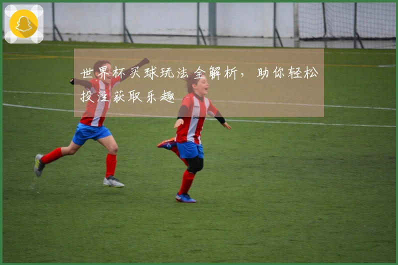 世界杯买球玩法全解析，助你轻松投注获取乐趣