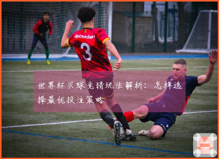 世界杯买球竞猜玩法解析：怎样选择最优投注策略