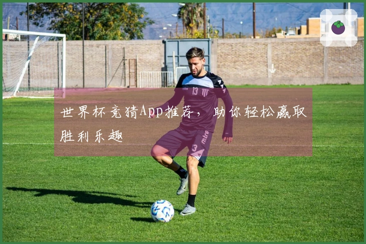 世界杯竞猜App推荐，助你轻松赢取胜利乐趣